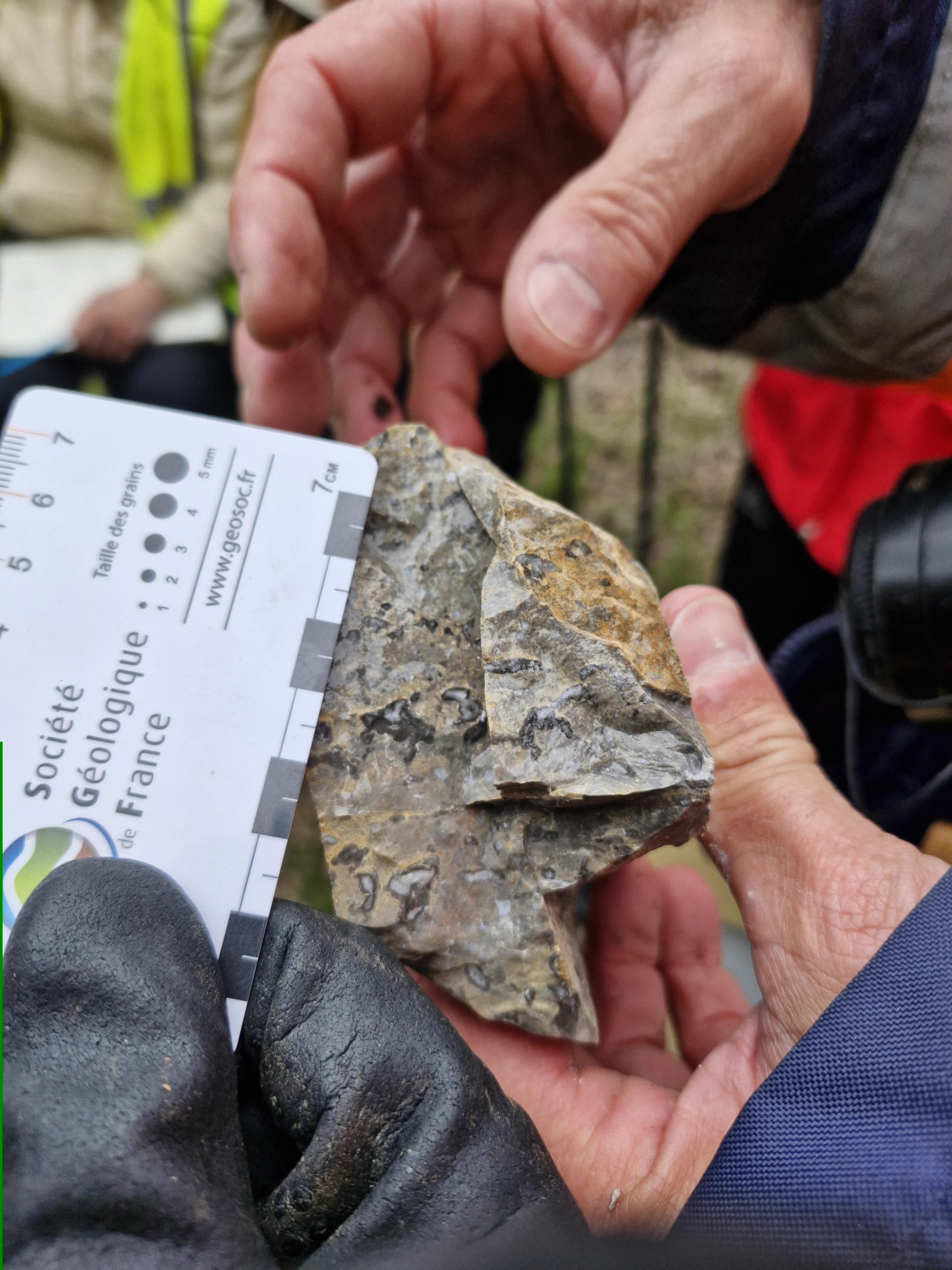 Dolomitic Limestone sample — Calcaire dolomitique analysé par le moteur 21-Pass de Lithotheque